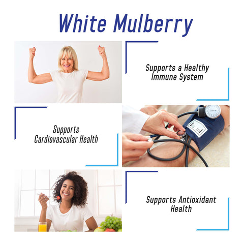 White Mulberry