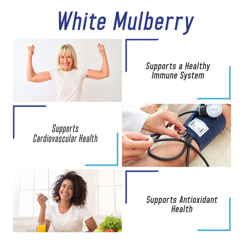 White Mulberry